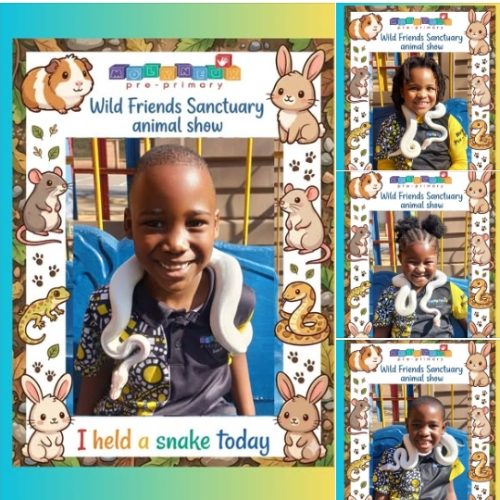 Molyneux-Preprimary (7)